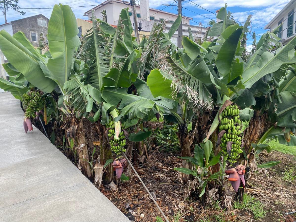 Retiro Das Bananeiras Horta  Exterior foto